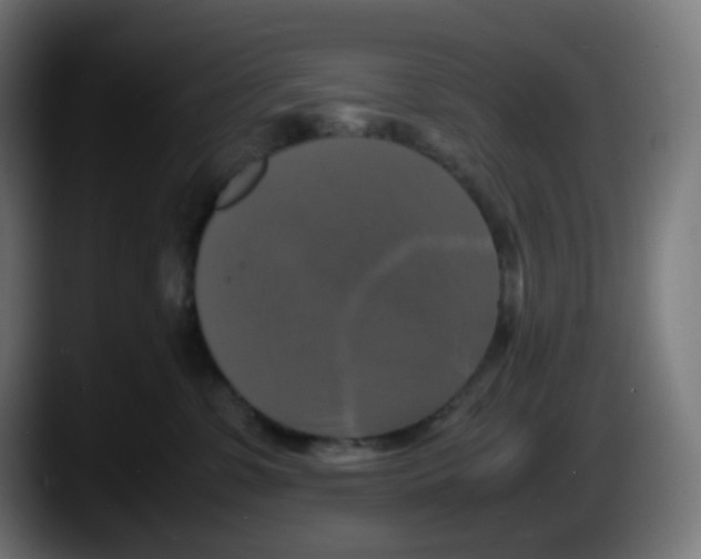 X0000087540331200705251725