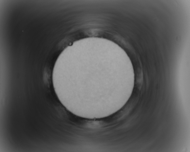 X0000087540332200705251725