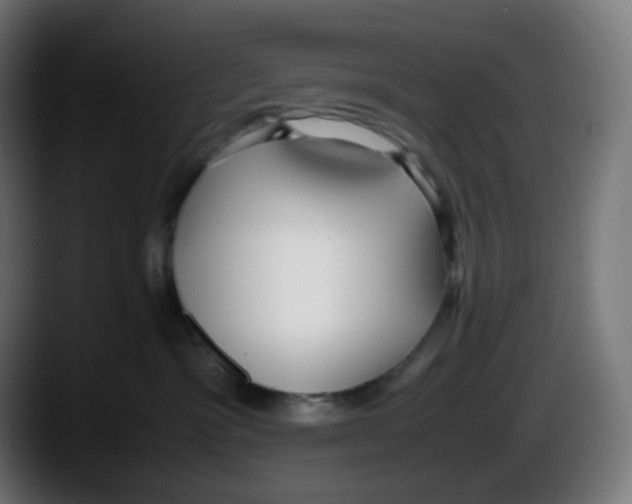 X0000087540333200705251725