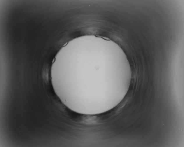 X0000087540334200705251725