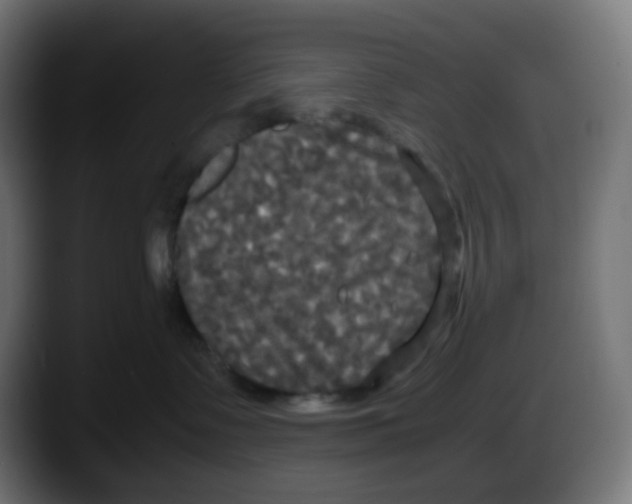 X0000087540335200705251725