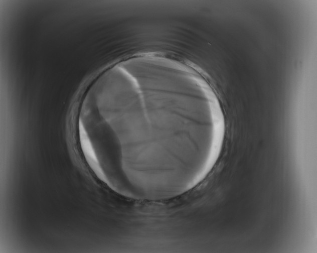 X0000087540337200705251724