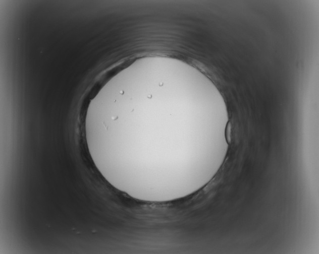 X0000087540338200705251724