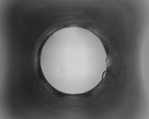 X0000087540339200705251724