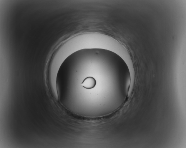 X0000087540340200705251724