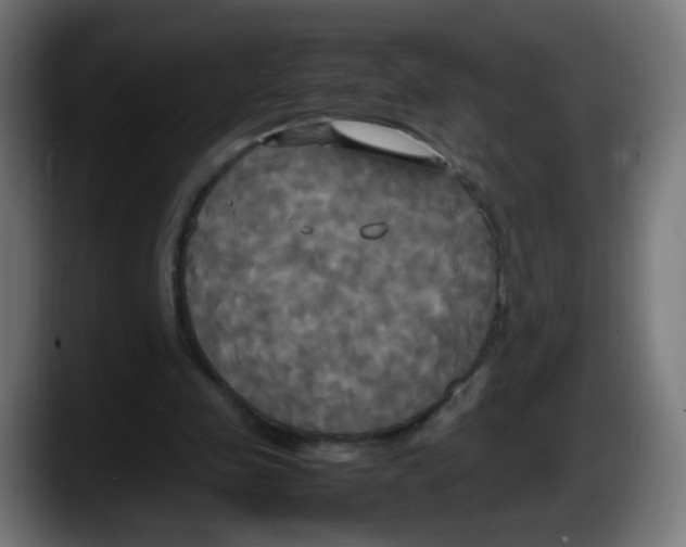 X0000087540341200705251724