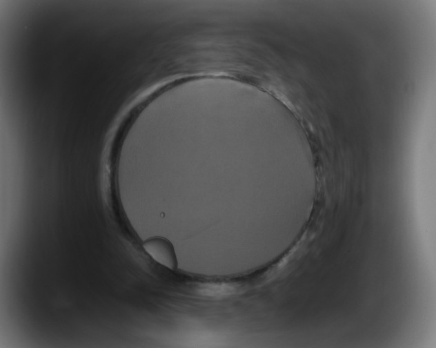 X0000087540342200705251724