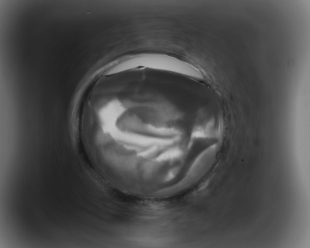 X0000087540343200705251724