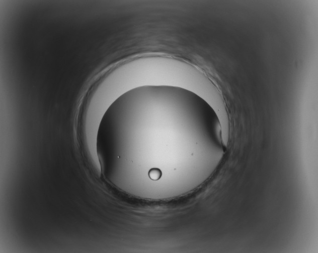 X0000087540344200705251724