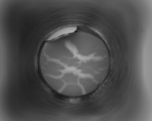 X0000087540345200705251724