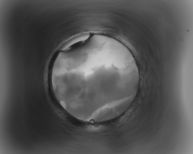 X0000087540346200705251724