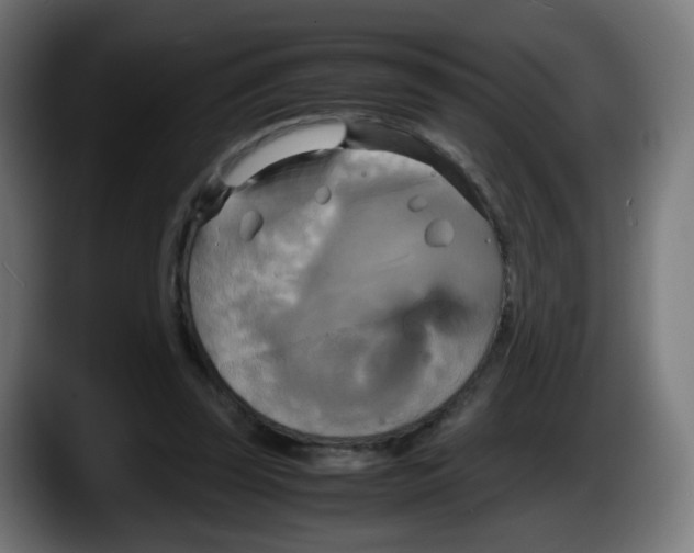 X0000087540347200705251724