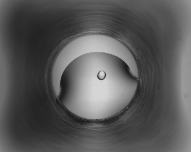 X0000087540348200705251724