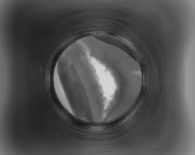 X0000087540349200705251724