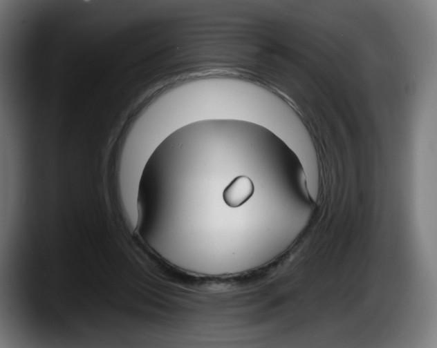 X0000087540350200705251724