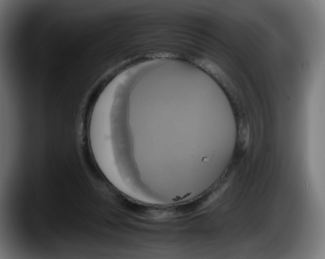 X0000087540351200705251724