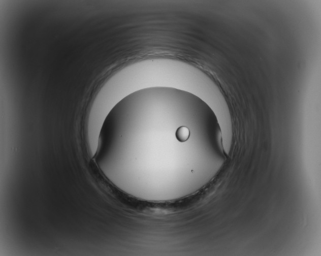 X0000087540352200705251724