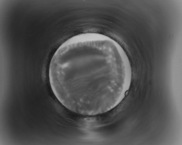 X0000087540353200705251725