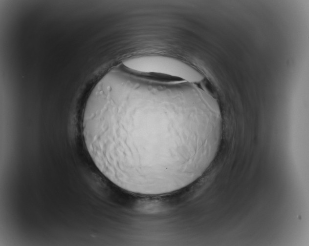 X0000087540354200705251725