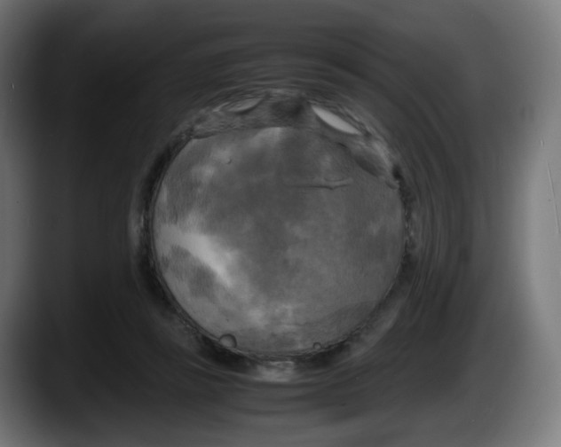 X0000087540355200705251725