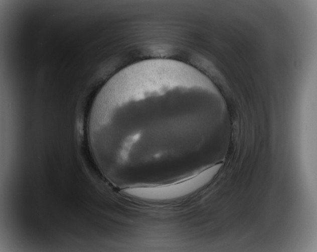 X0000087540358200705251725