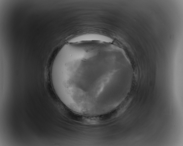 X0000087540359200705251725