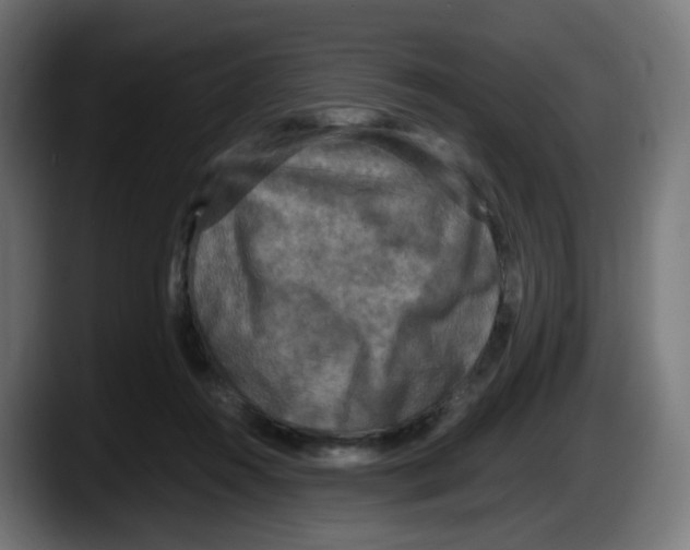 X0000087540360200705251725