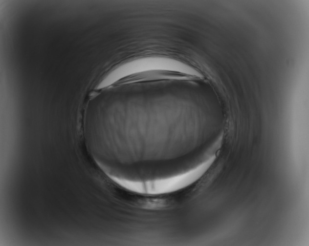 X0000087540361200705251725