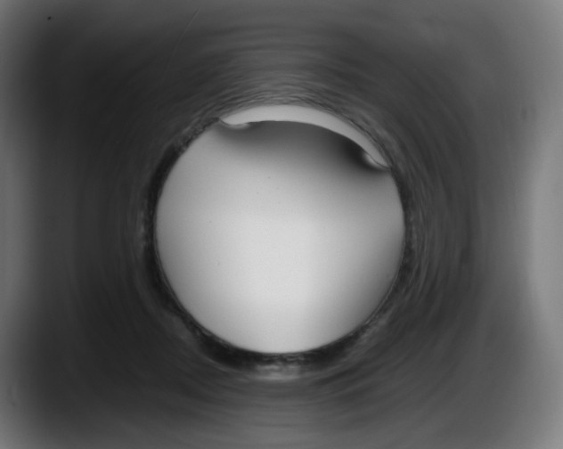 X0000087540362200705251725