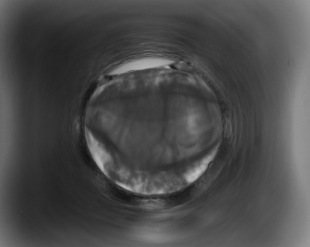 X0000087540363200705251725