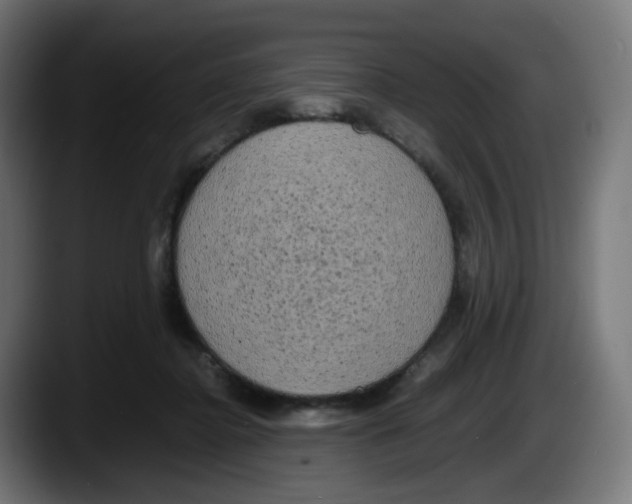 X0000087540364200705251725