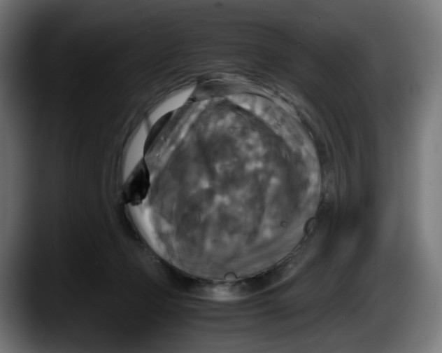 X0000087540365200705251725