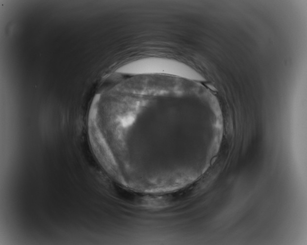 X0000087540367200705251725