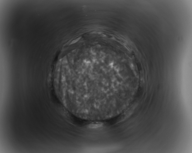 X0000087540369200705251725