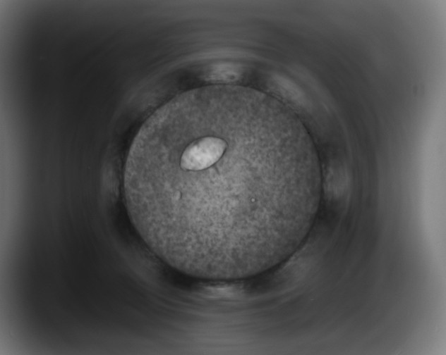 X0000087540370200705251725