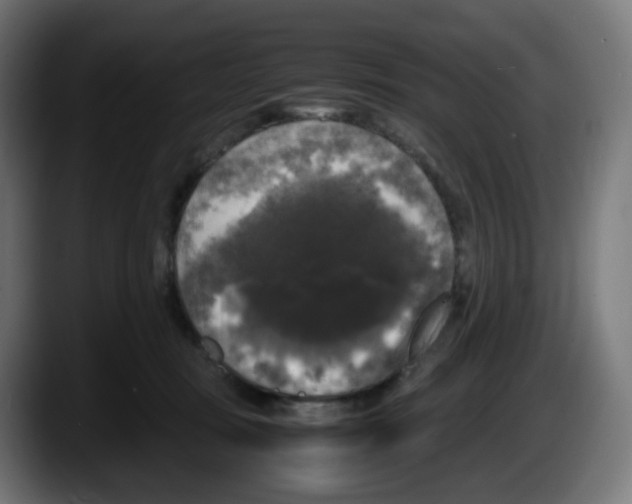 X0000087540371200705251725