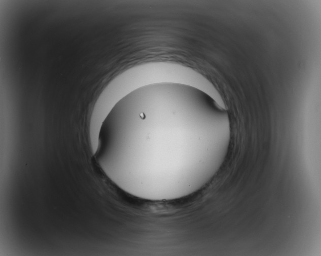 X0000087540372200705251725