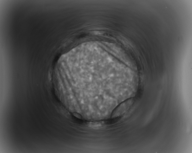 X0000087540373200705251725