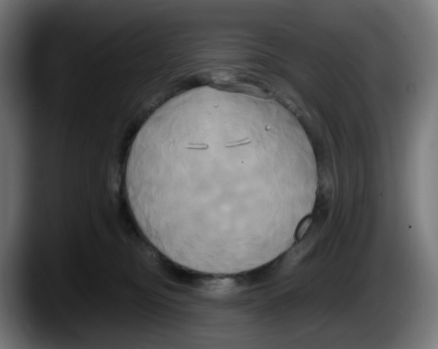 X0000087540374200705251725