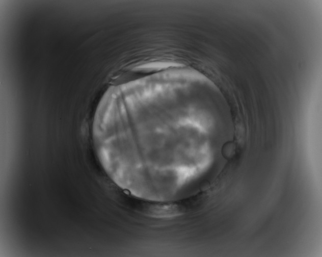 X0000087540375200705251725