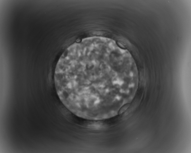 X0000087540377200705251725