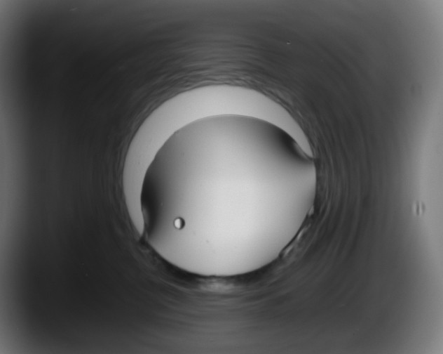 X0000087540380200705251725