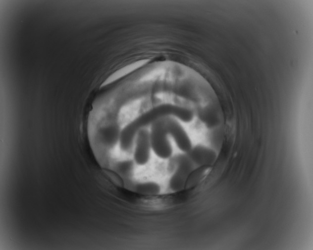 X0000087540381200705251725