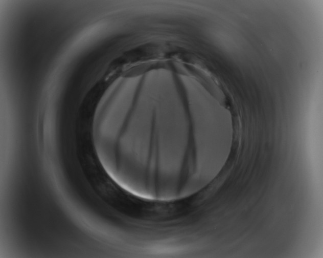 X0000087540383200705251725