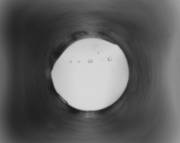 X0000087540384200705251725