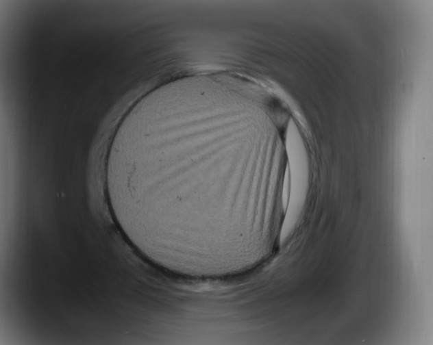 X0000087540385200705251724