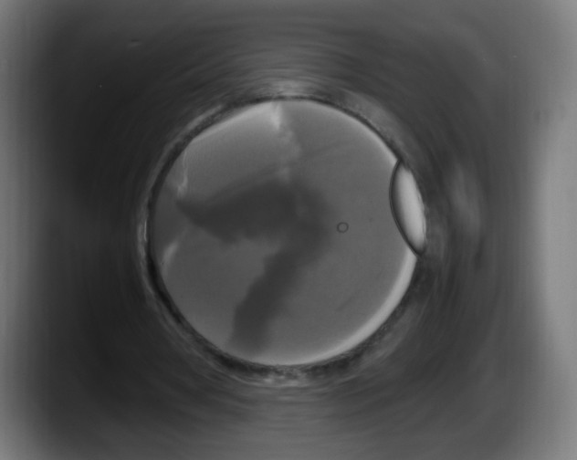 X0000087540386200705251724