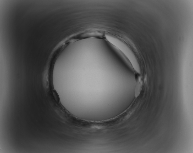 X0000087540388200705251724