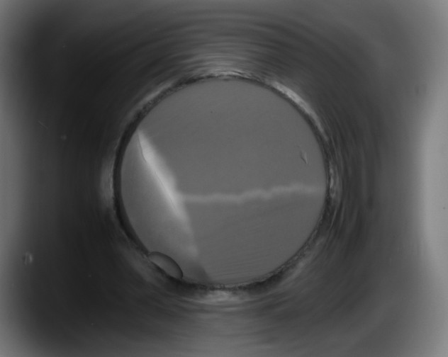 X0000087540390200705251724