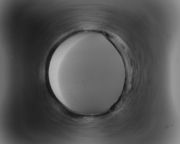 X0000087540391200705251724